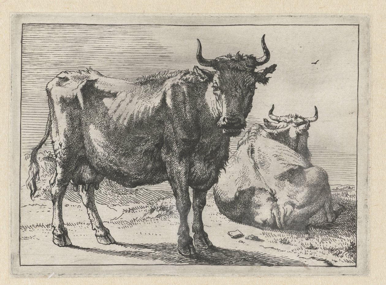 Ayakta ve yalancı bir inek Bullen Kitapçığı (seri başlığı) by Paulus Potter