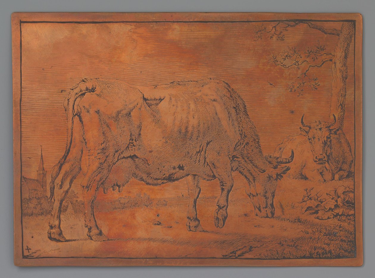 otlayan inek by Paulus Potter