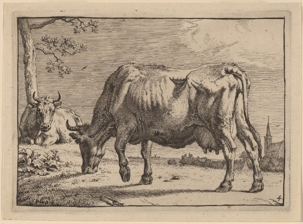 otlayan inek by Paulus Potter