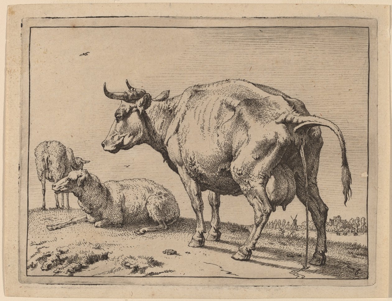 işeyen inek by Paulus Potter