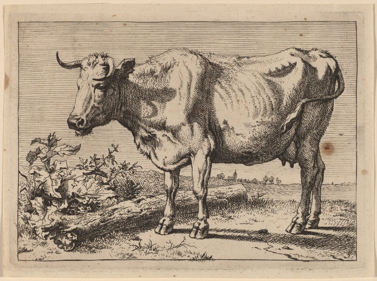 Ayakta İnek (Boynuz Bükülmüş İnek) by Paulus Potter