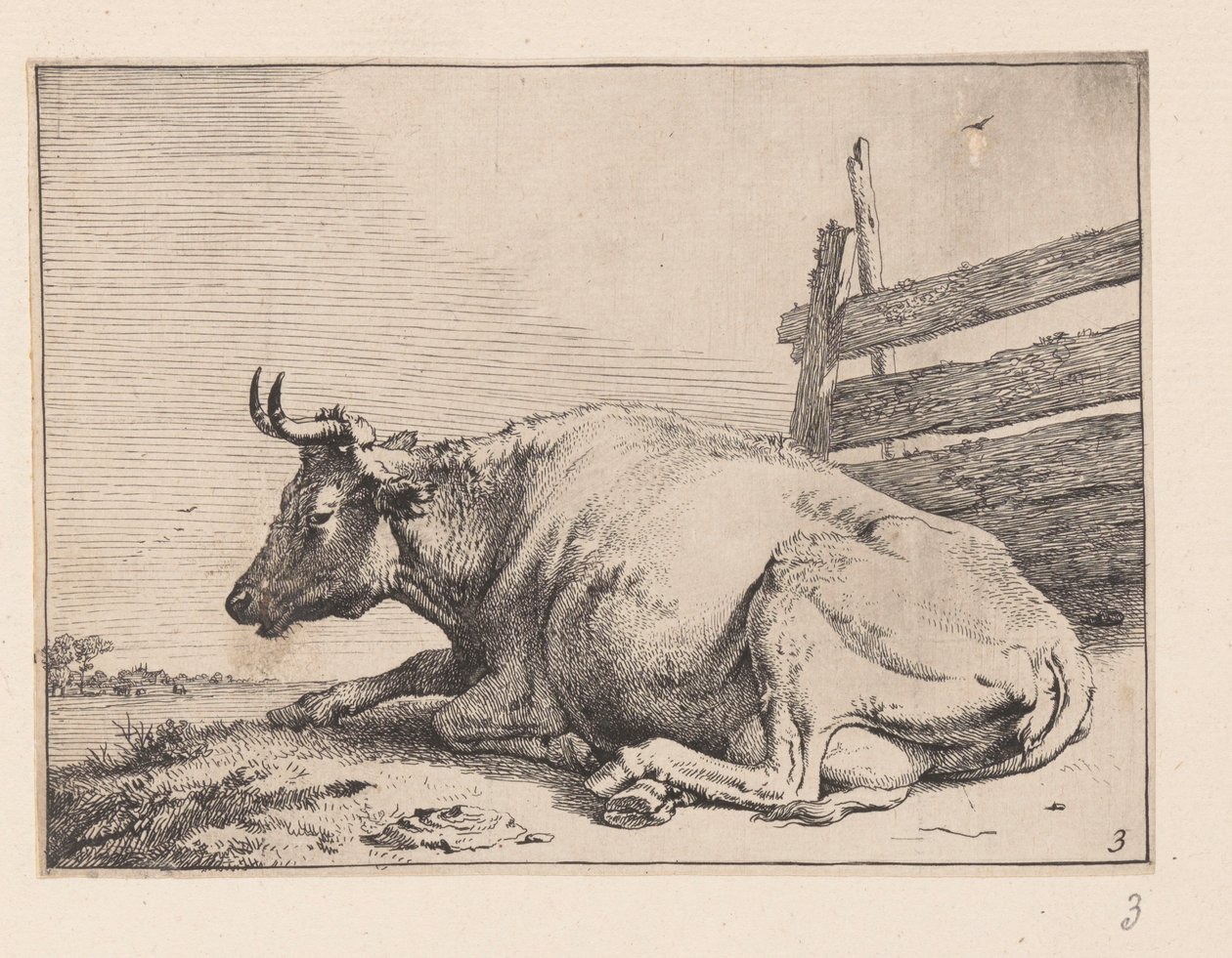  by Paulus Potter