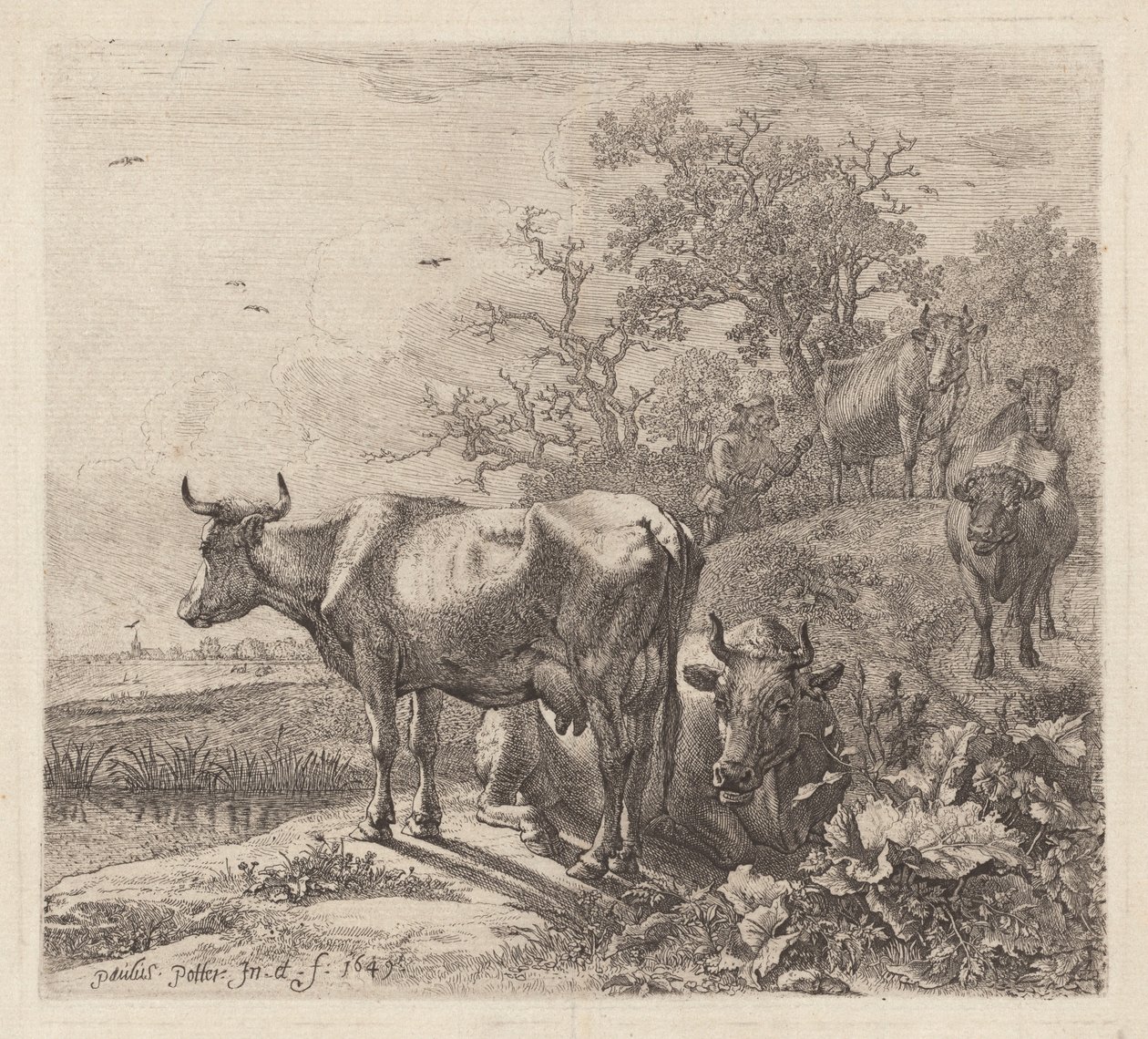 Çoban by Paulus Potter