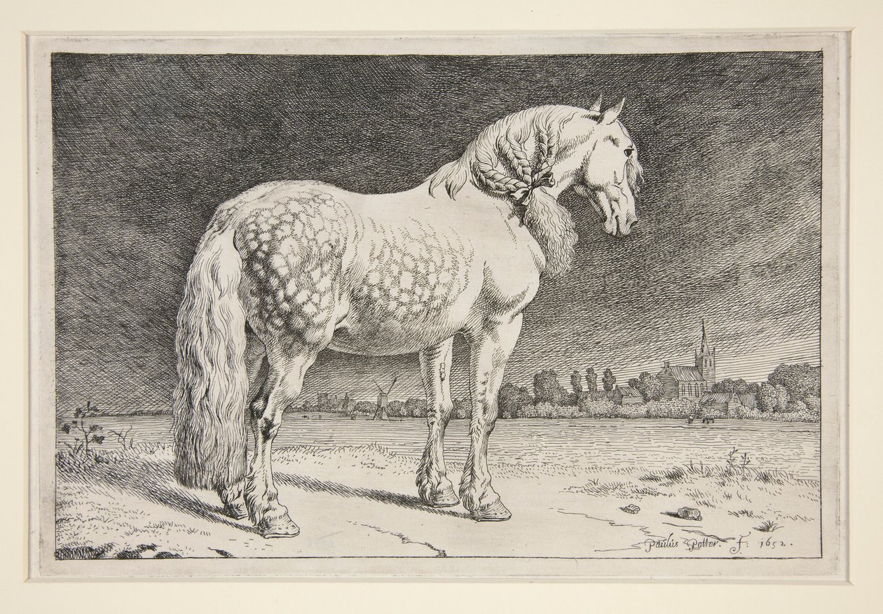Friesland Atı by Paulus Potter