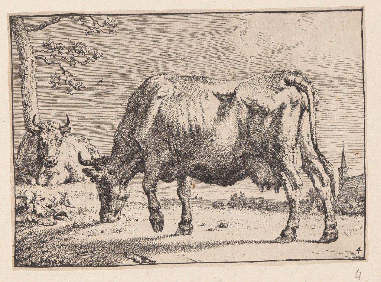 by Paulus Potter