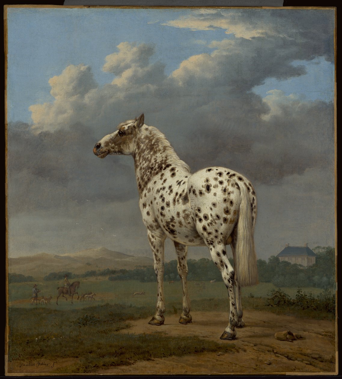  by Paulus Potter