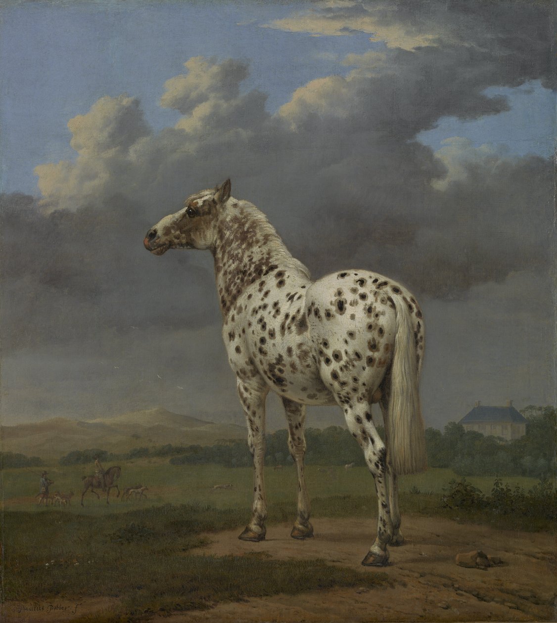 "Piebald" Atı, c.1650-4 (tuval üzerine yağlı boya) by Paulus Potter