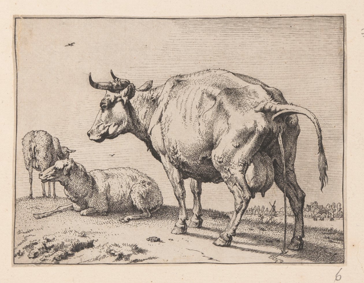  by Paulus Potter