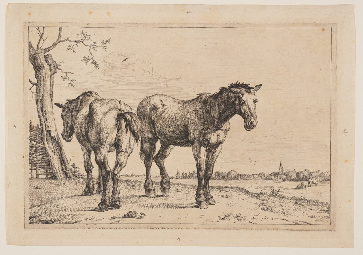  by Paulus Potter