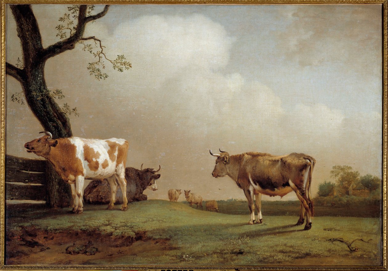 Çayır Öncesinde inek sürüsü. Paul Potter (1625-1654) 1652 Sun tarafından tablo. 0,84x1,21 m by Paulus Potter