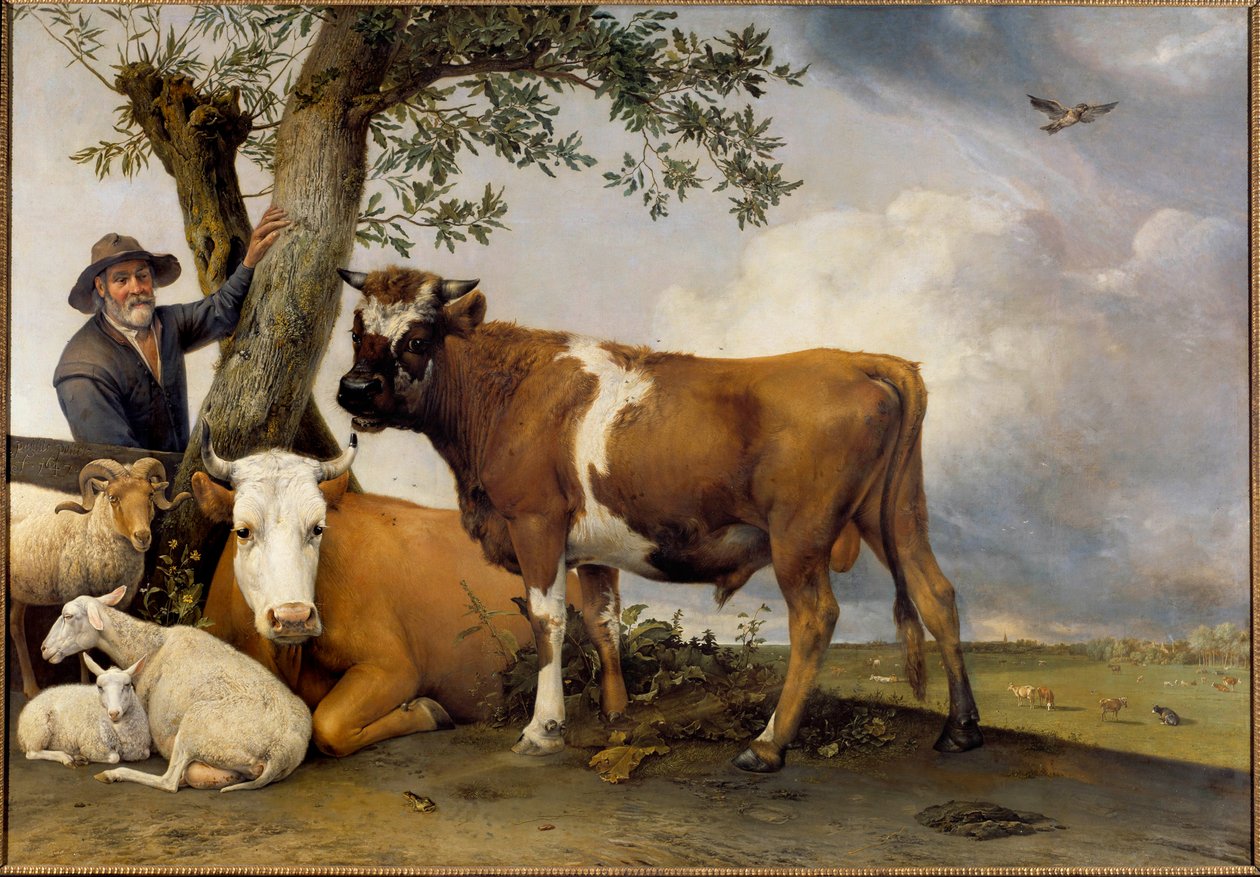 Genç boğa Bir çoban ve sığırları, belier, kuzu, inek ve boğa. Paul Potter (1625-1654) 1647 Sun tarafından tablo. 2,36x3,39 m Lahey. Mauritshuis by Paulus Potter
