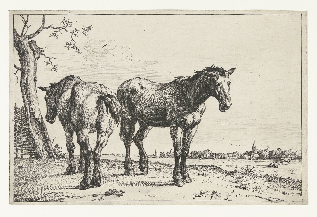 iki pulluk atı Atlar (dizi adı) by Paulus Potter