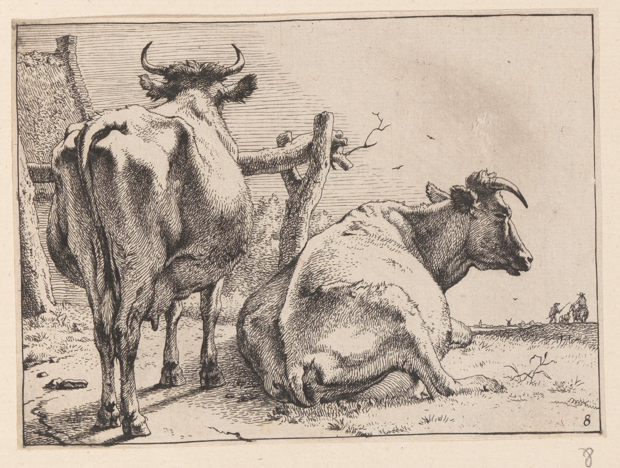  by Paulus Potter
