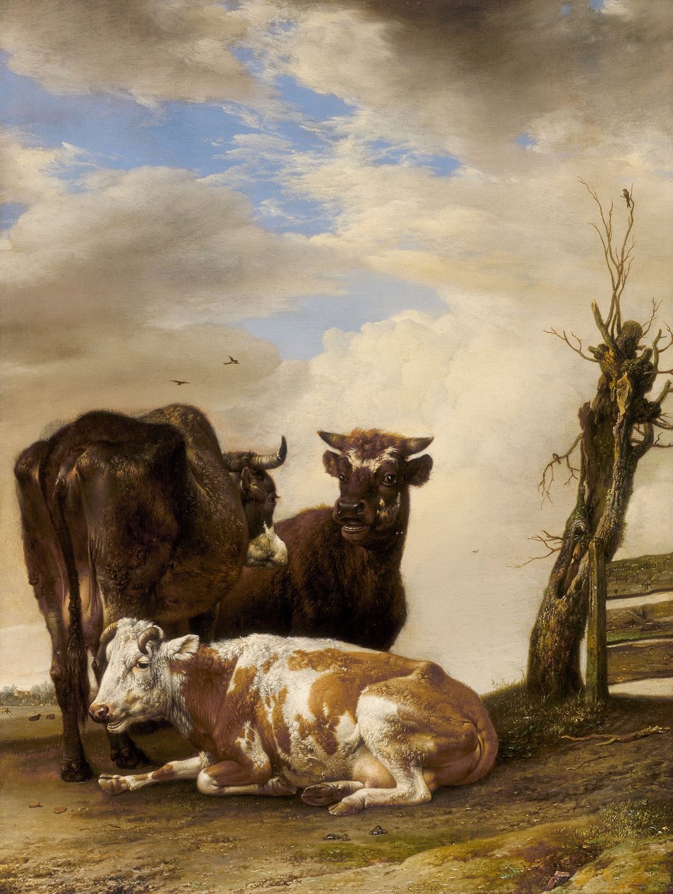  by Paulus Potter
