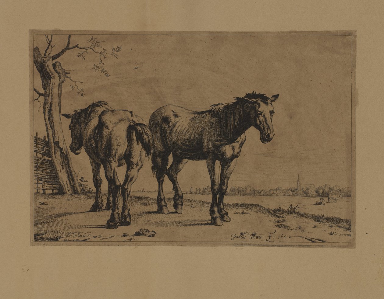  by Paulus Potter