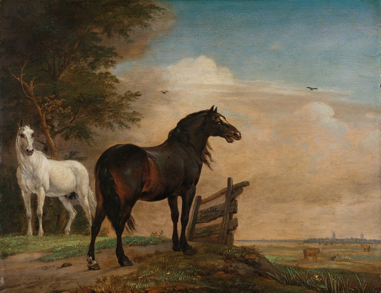 Kapının Yanındaki Çayırda İki At Çayırdaki Kapının Yanında İki At by Paulus Potter