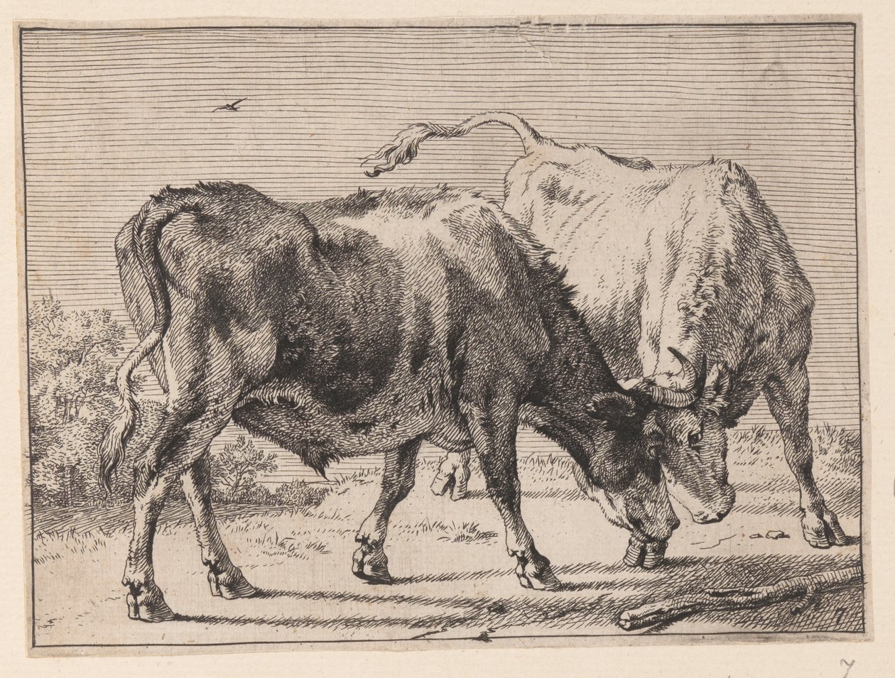  by Paulus Potter