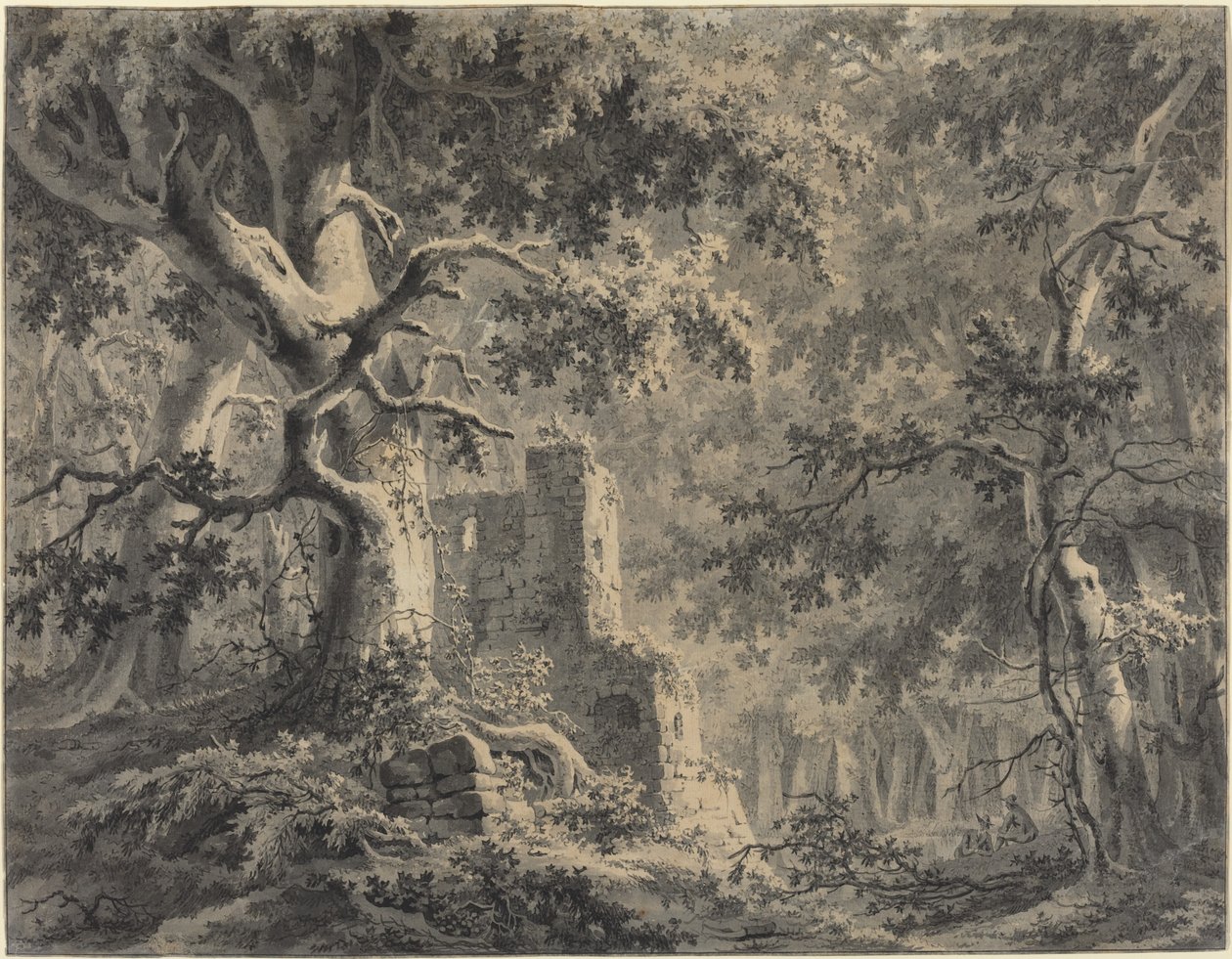 Woodland Çayı