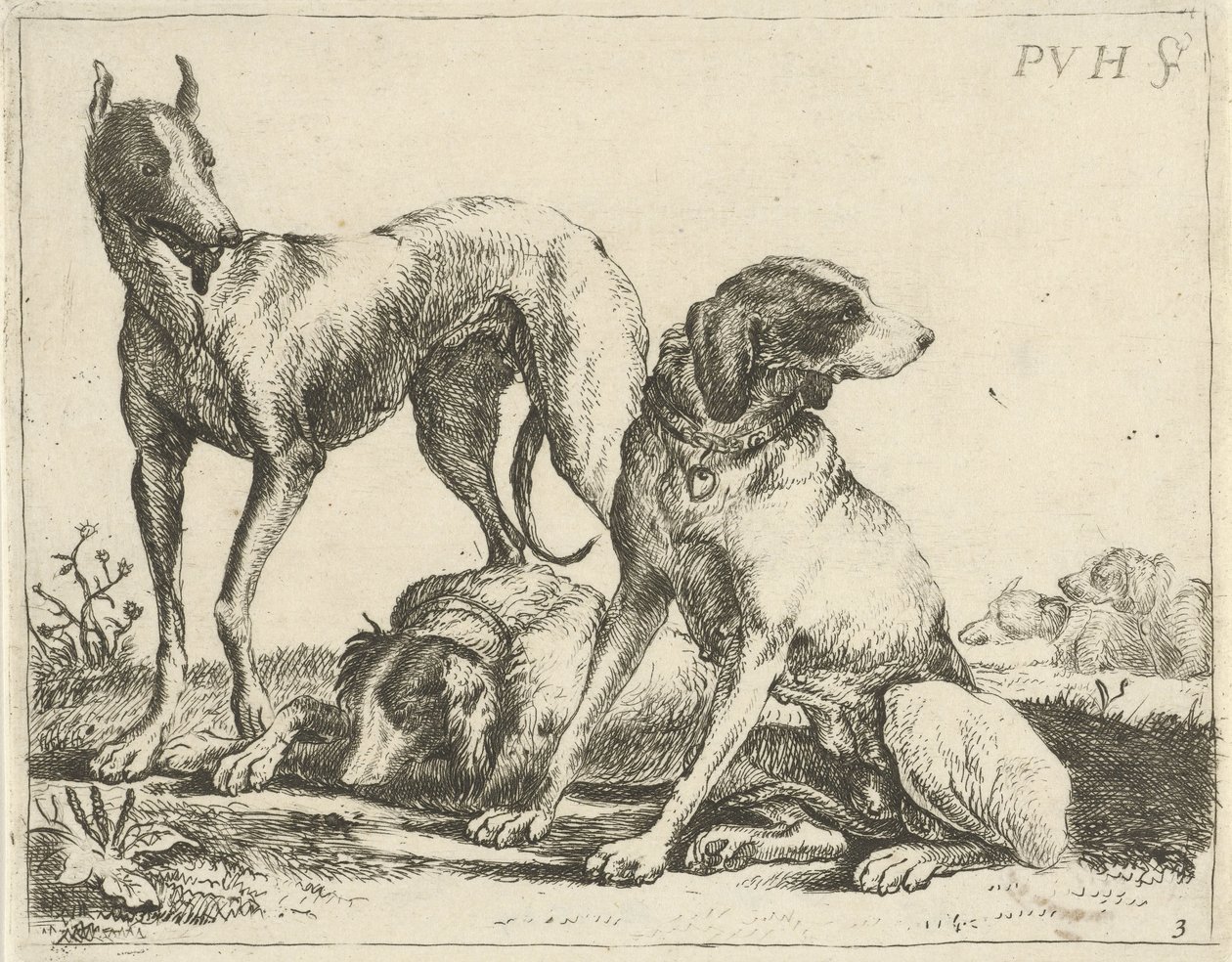 Üç köpek Farklı köpekler (dizi başlığı) by Pauwels van Hillegaert