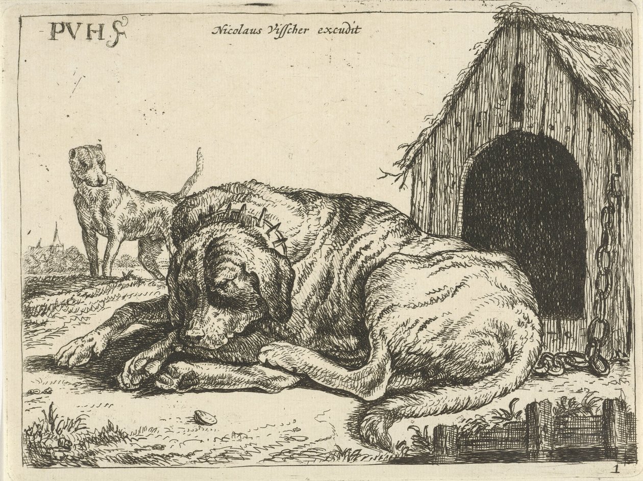 Bir zincir üzerinde uzanmış köpek Farklı köpekler (dizi başlığı) by Pauwels van Hillegaert