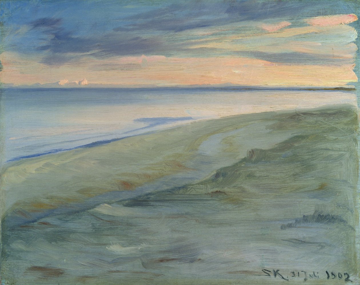 Sahil, Skagen, 1902 (panel) by Peder Severin Krøyer