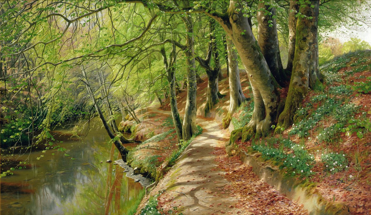 Ormanlık Bir Nehir Manzarası (tuval üzerine yağlıboya) by Peder Monsted