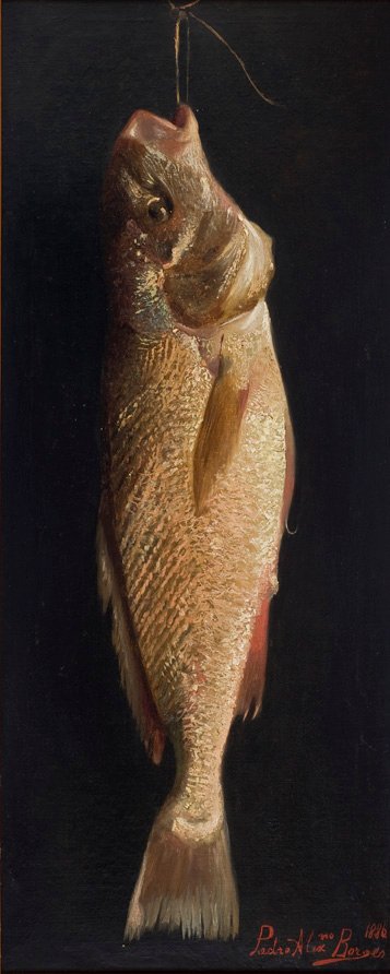 FishnPortekizce: Balık by Pedro Alexandrino Borges
