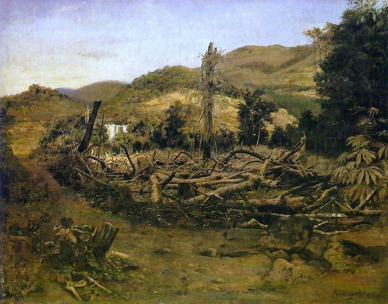 Ağaçların kesilmesi by Pedro Weingärtner
