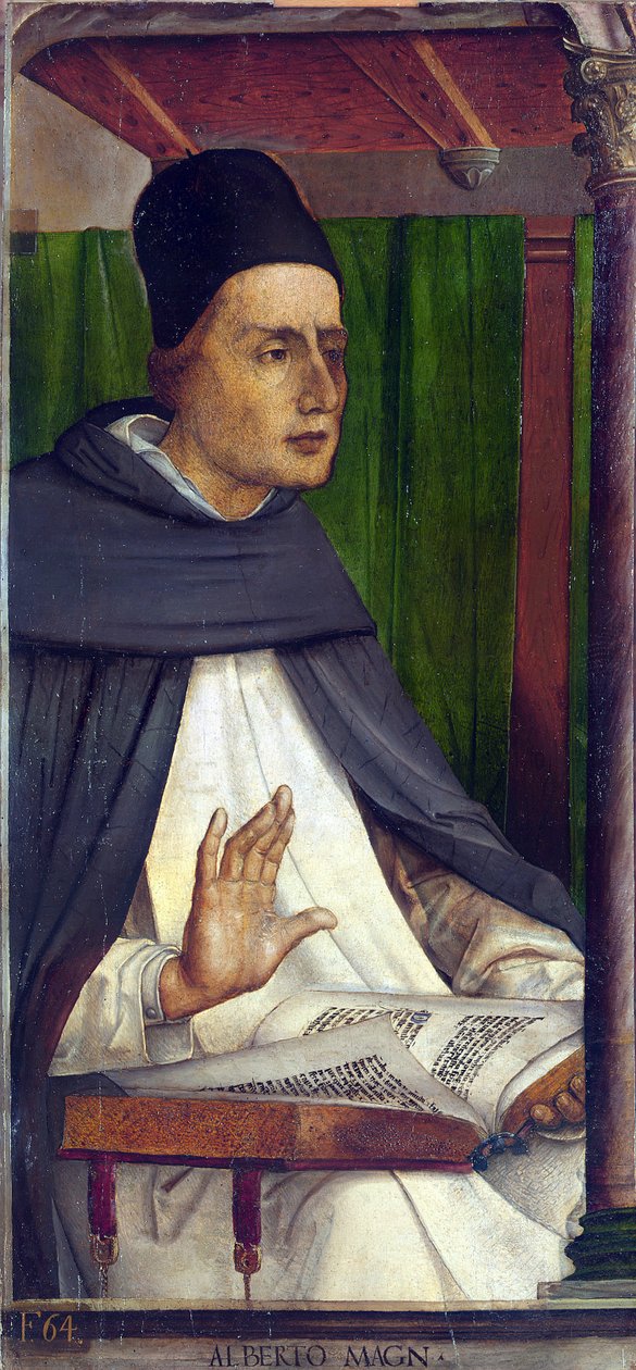 Saint Albert le Grand (1205-1280), (Albert Magnus, Albrecht von Bollstadt, Albert de Cologne) - Albertus Magnus par Berruguete, Pedro (1450-1503). Ahşap üzeri yağlı boya, ebat: 116x53, c. 1473-1475, Marche Ulusal Galerisi, Urbino by Pedro Berruguete