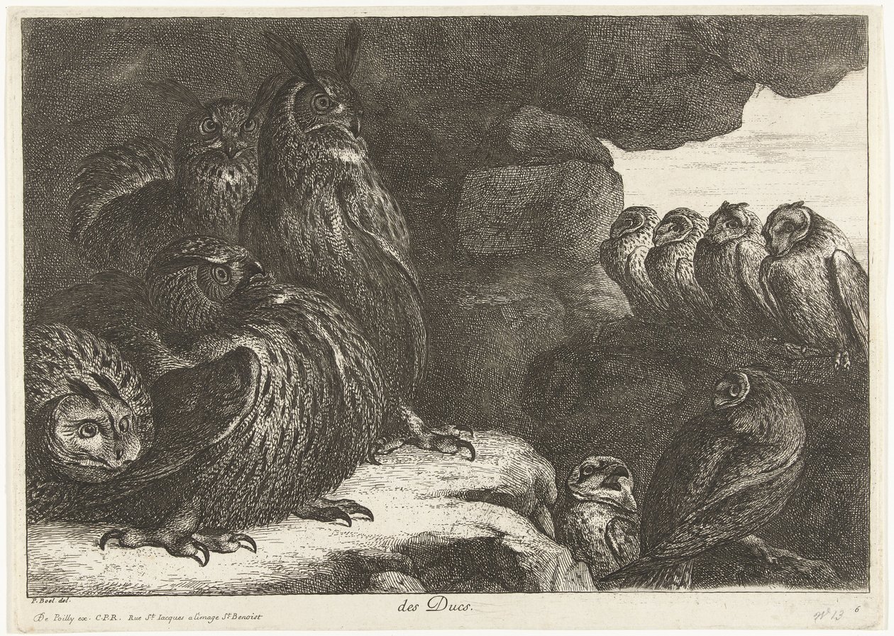 Ducs mağarasındaki baykuşlar (nesne üzerindeki başlık) Versailles hayvanat bahçesinden kuşlar (seri başlığı) by Peeter Boel (attributed to)