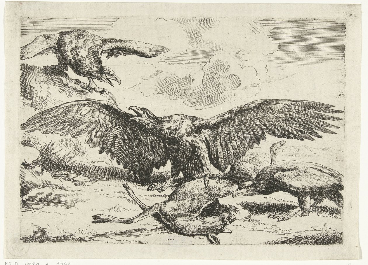 Üç kartal ölü bir geyik için kavga ediyor Diversi uccelli (dizi adı) by Peeter Boel