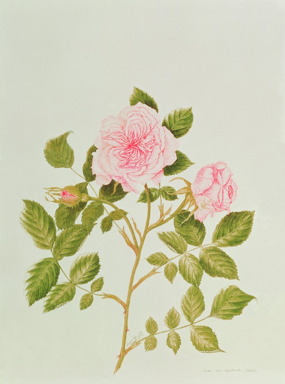  by Peggy Wyatt