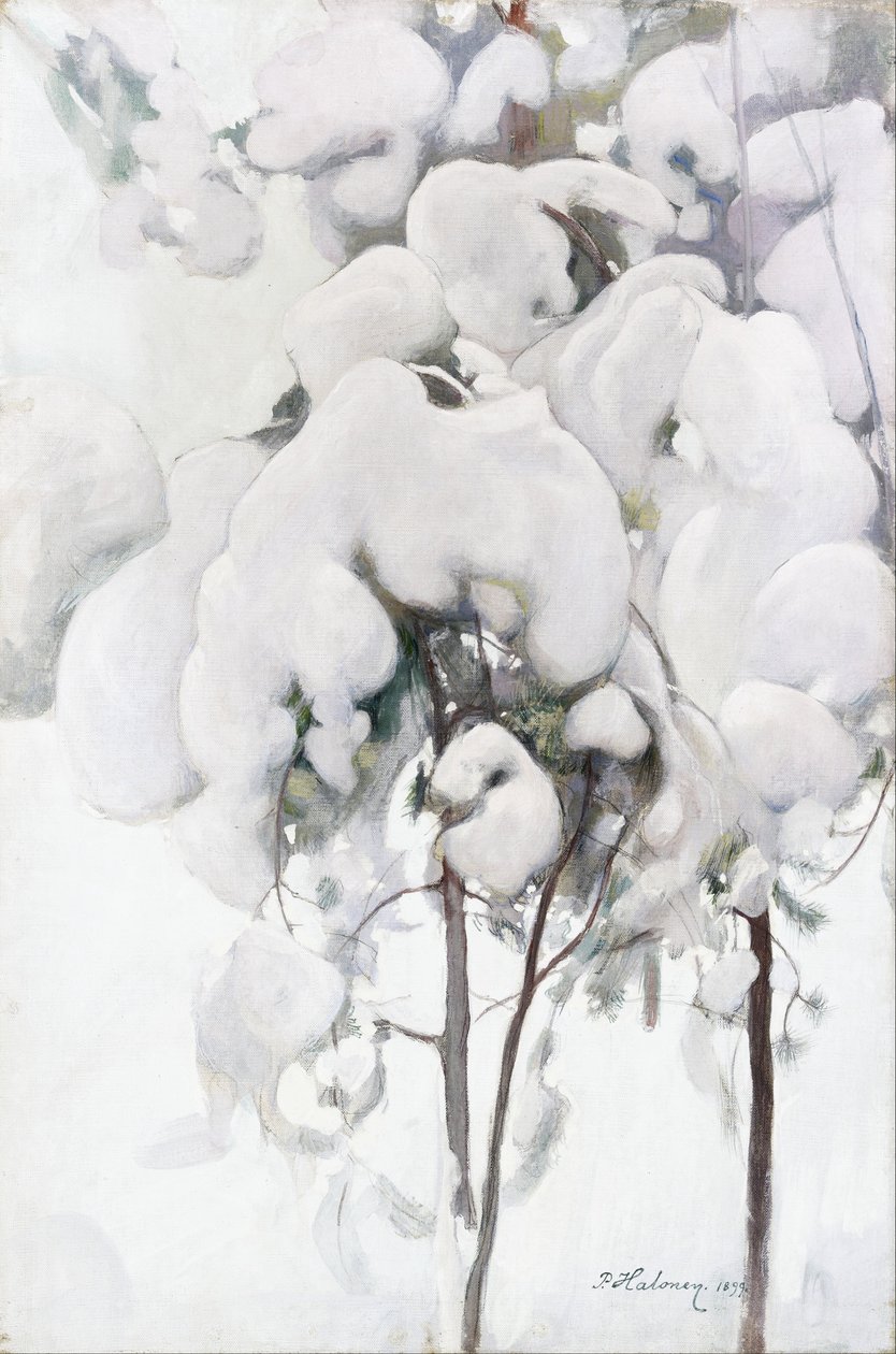 Karla Kaplı Çam Fidanları by Pekka Halonen