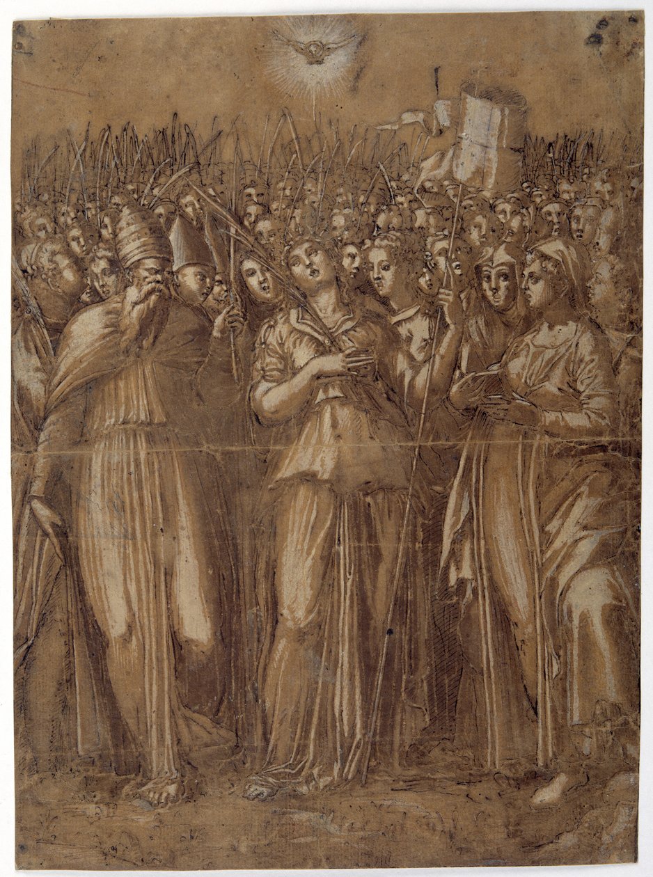 Aziz Ursula şehit bakirelerle birlikte (kahverengi yıkanmış kağıt üzerinde beyaz gövde rengiyle yükseltilmiş kalem ve kahverengi mürekkep) by Pellegrino (c.1460 1523) Aretusi