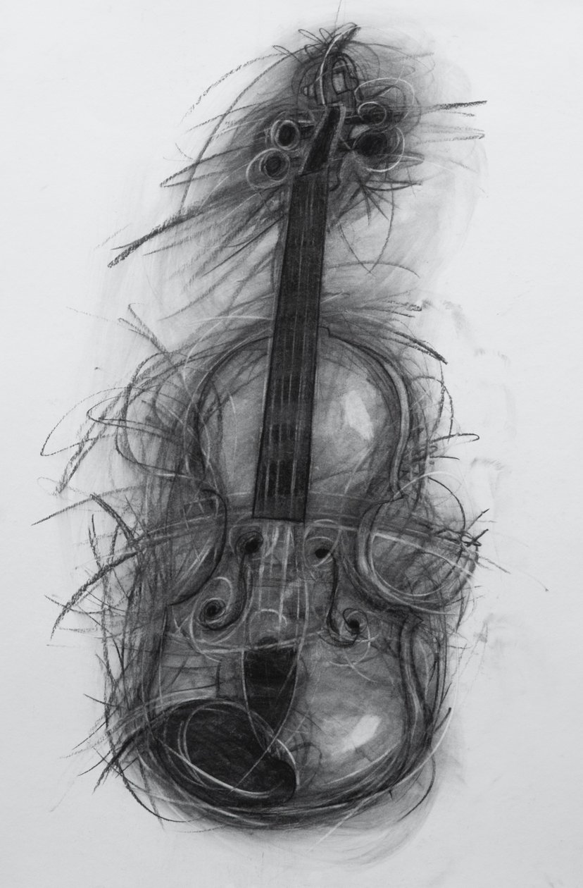 Keman, 2005 (kağıt üzerinde karakalem) by Penny Warden