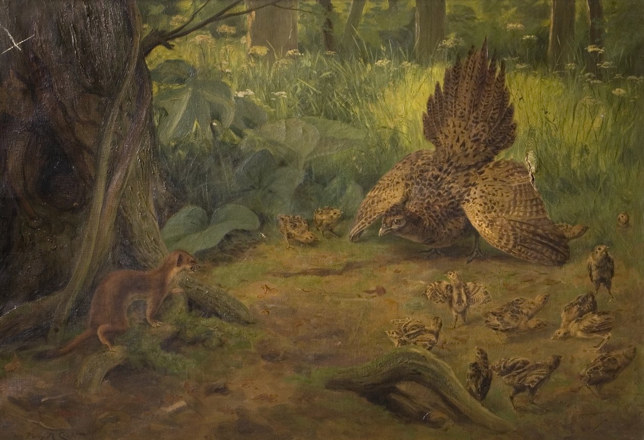 Defiance değil Savunma, 20. yüzyılın başlarında by Percy Robert Craft