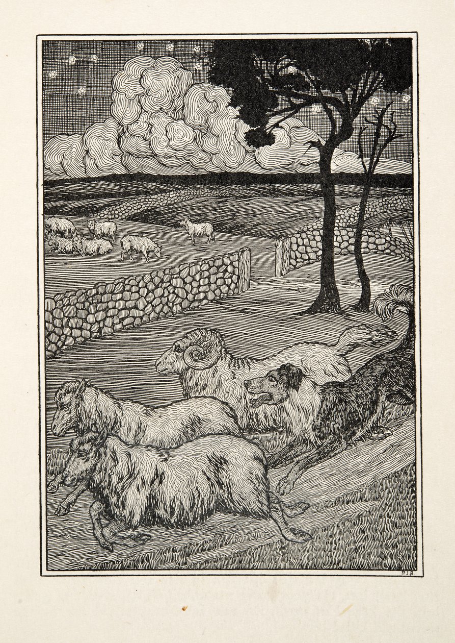 A Hundred Anecdotes of Animals