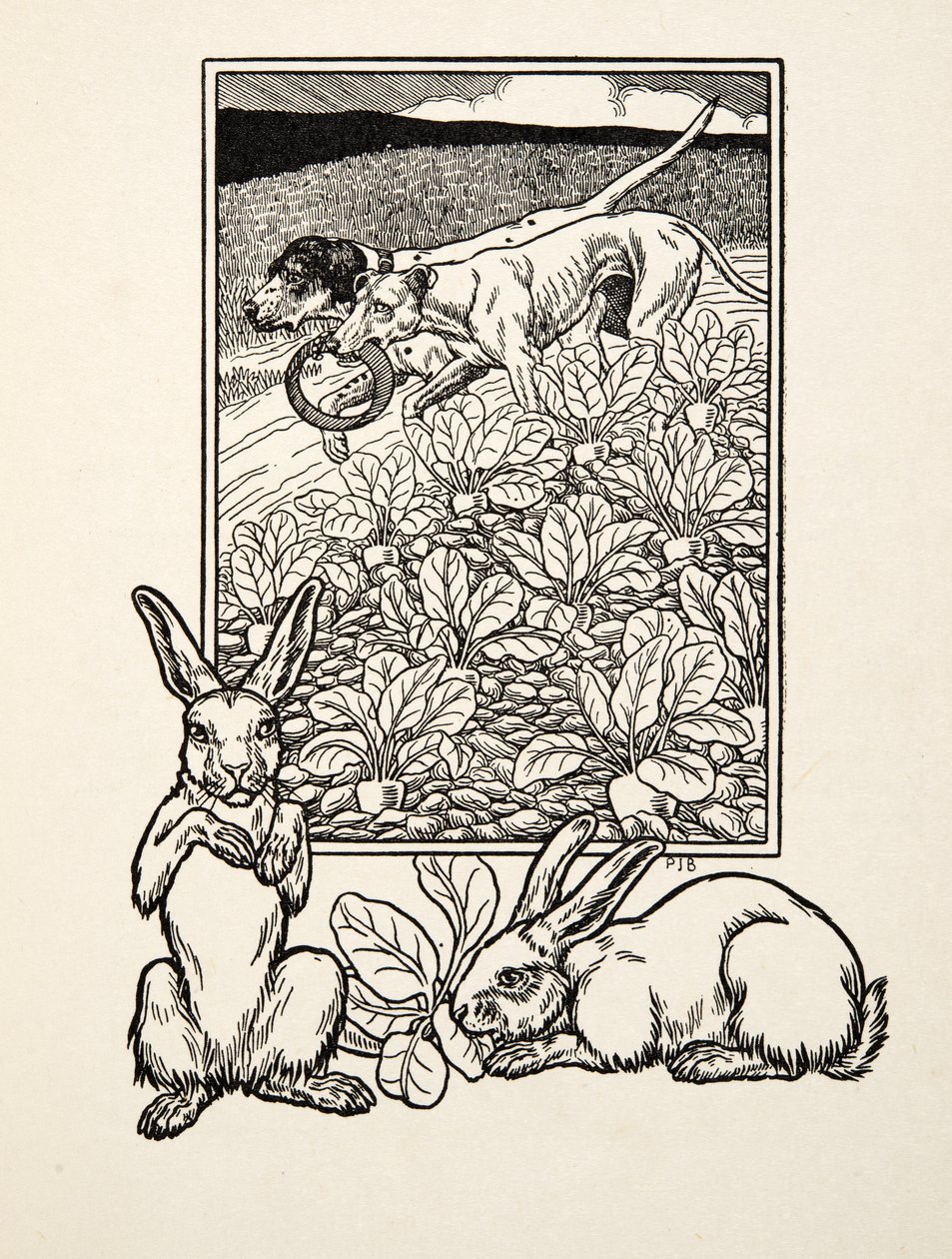 A Hundred Anecdotes of Animals, pub