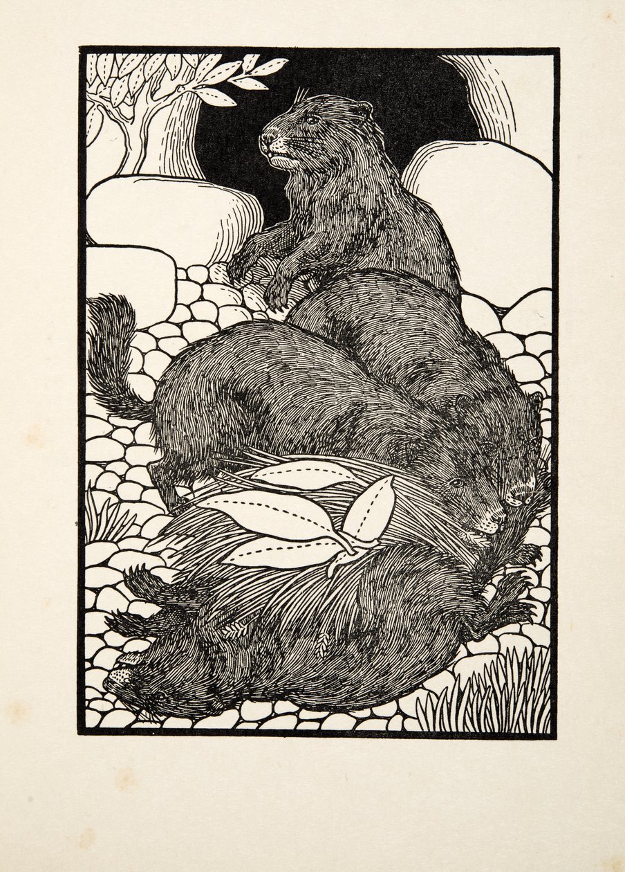 Hayvanların Yüz Anekdotundan Çalışma Bölümü, pub. 1924 by Percy J. Billingshurst