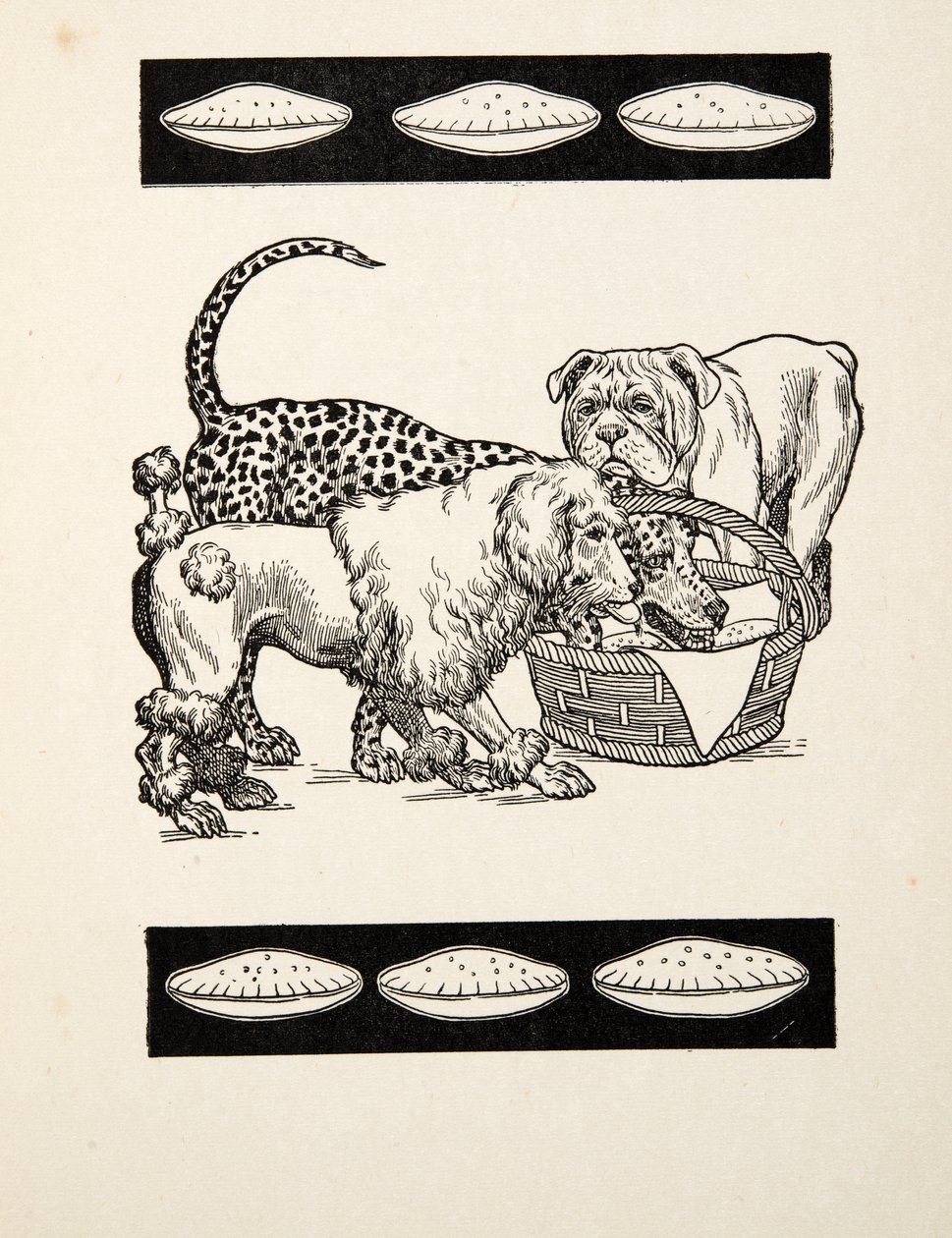 En Azını Seçen İki Kötülük Üzerine, Hayvanların Yüz Anekdotundan, pub. 1924 (gravür) by Percy J. Billingshurst