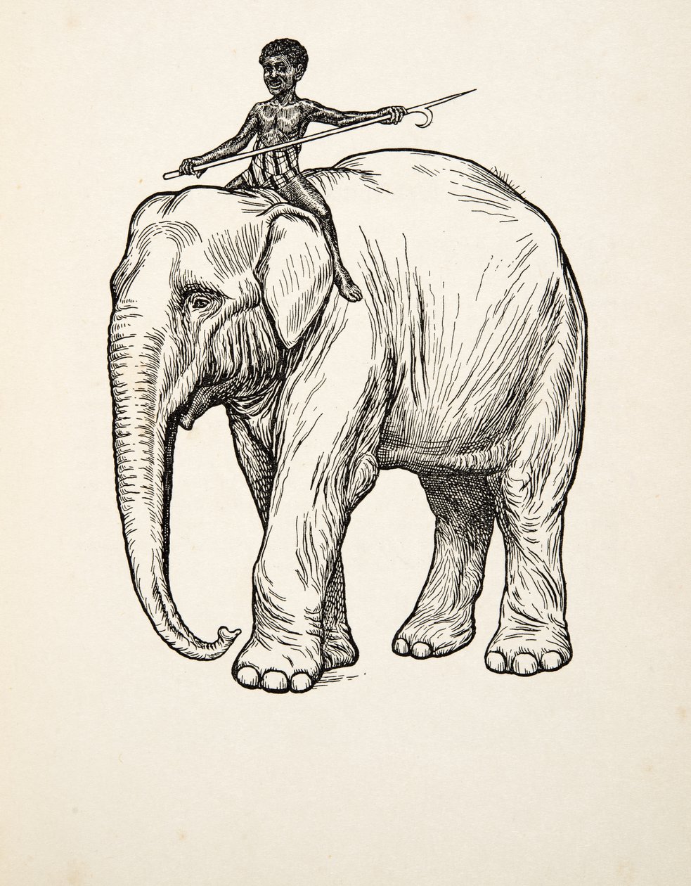 Pişmanlık, Yüzlerce Hayvan Anekdotundan, pub. 1924 by Percy J. Billingshurst