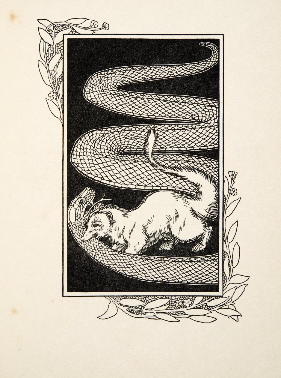 Hayvanların Yüz Anekdotlarından Yılan Yok Ediciler, pub. 1924 (gravür) by Percy J. Billingshurst