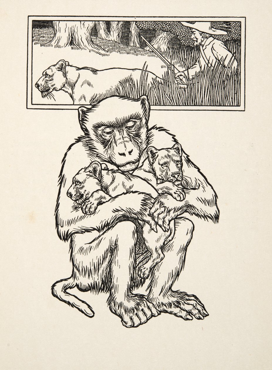 Yardım İstemek, Hayvanların Yüz Anekdotundan, pub. 1924 (gravür) by Percy J. Billingshurst