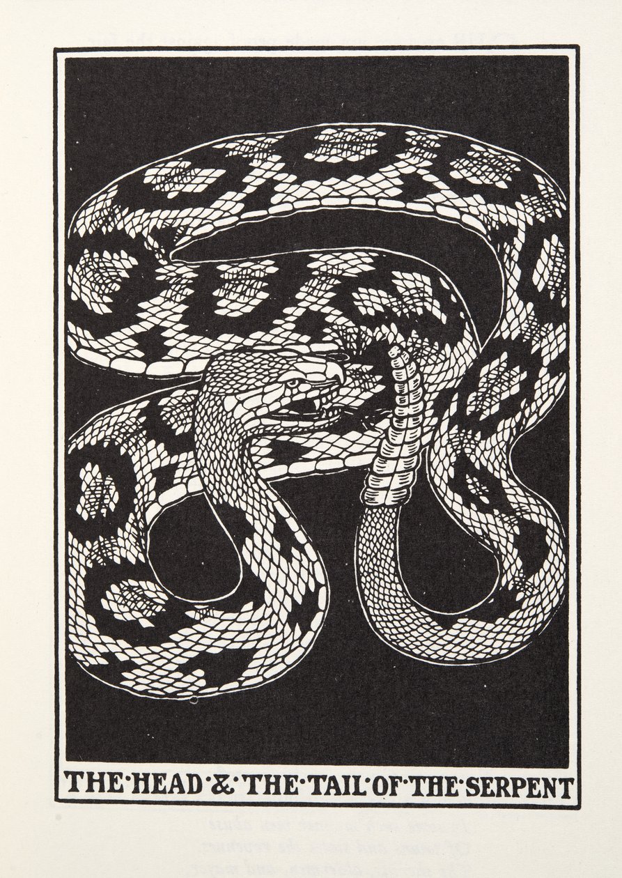 Yılanın Başı ve Kuyruğu, Fontaine Fables, pub'dan. 1905 (gravür) by Percy J. Billingshurst