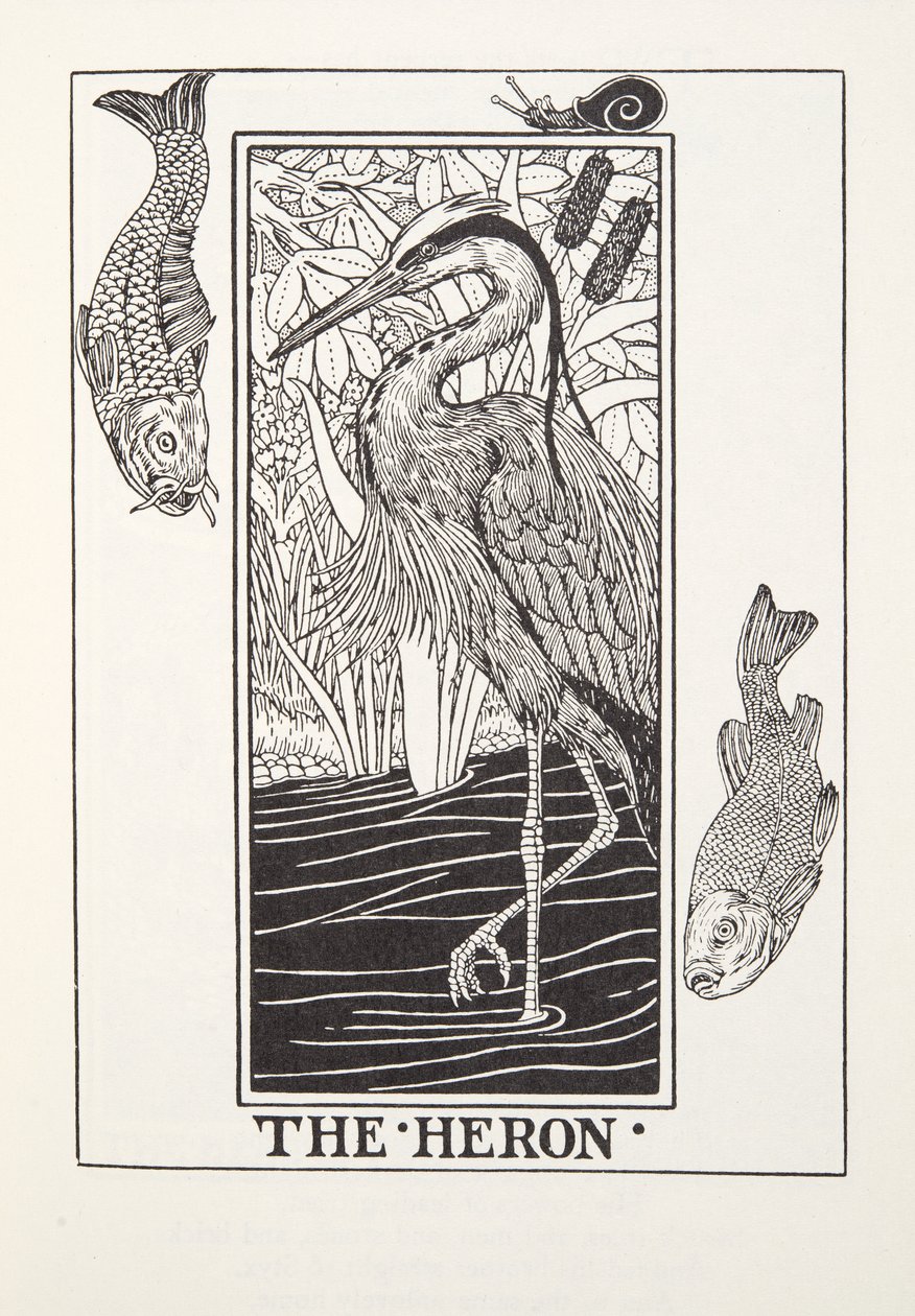 Heron, Fontaine Fables'dan, pub. 1905 (gravür) by Percy J. Billingshurst