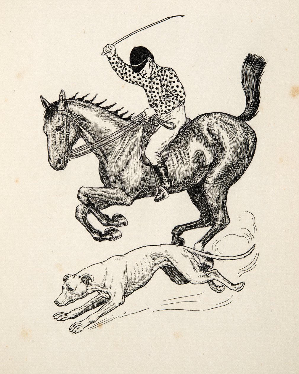 A Hundred Anecdotes of Animals