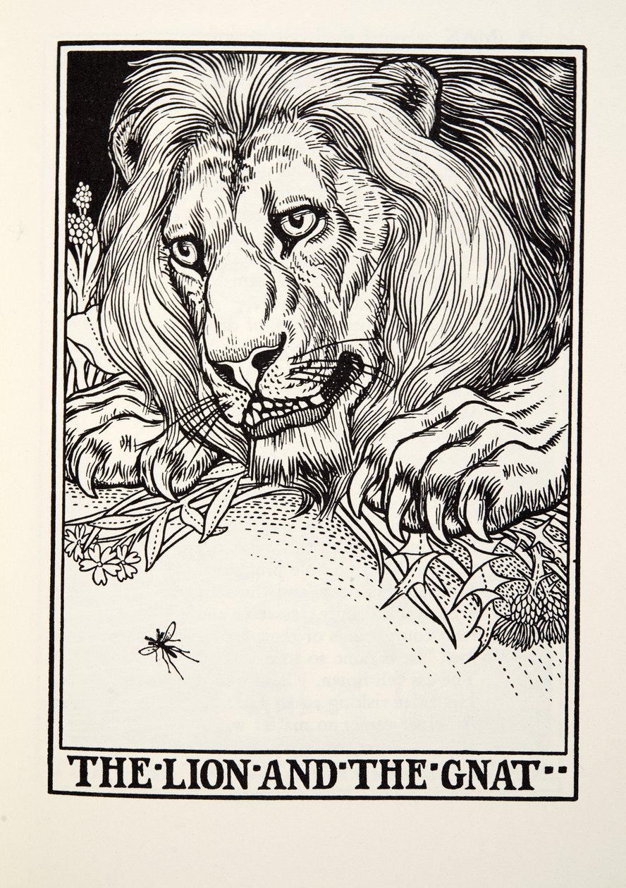 Aslan ve Sivrisinek, Fontaine Fables, pub