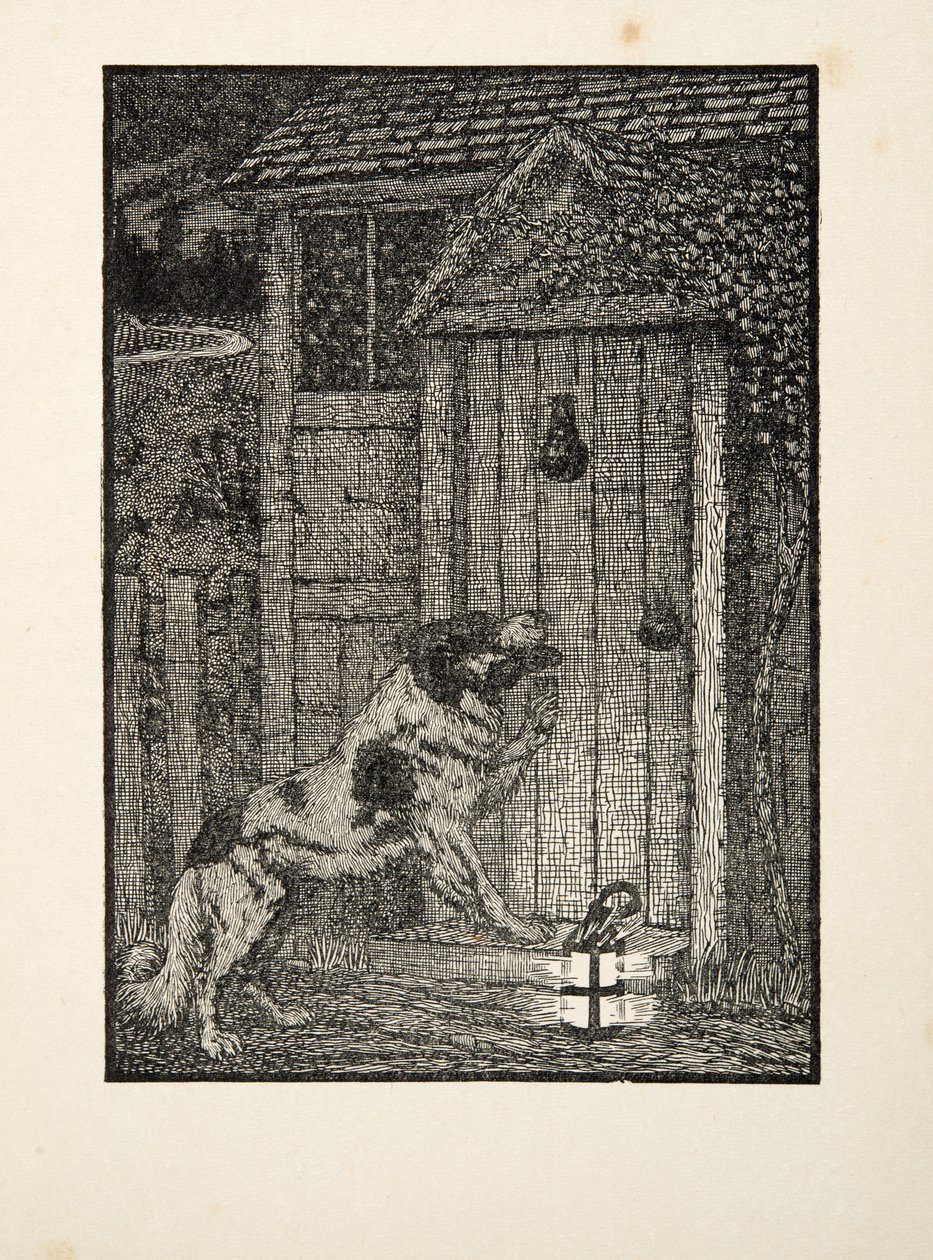 Hayvanların Yüz Anekdotlarından Newfoundland Köpeği, pub. 1924 by Percy J. Billingshurst