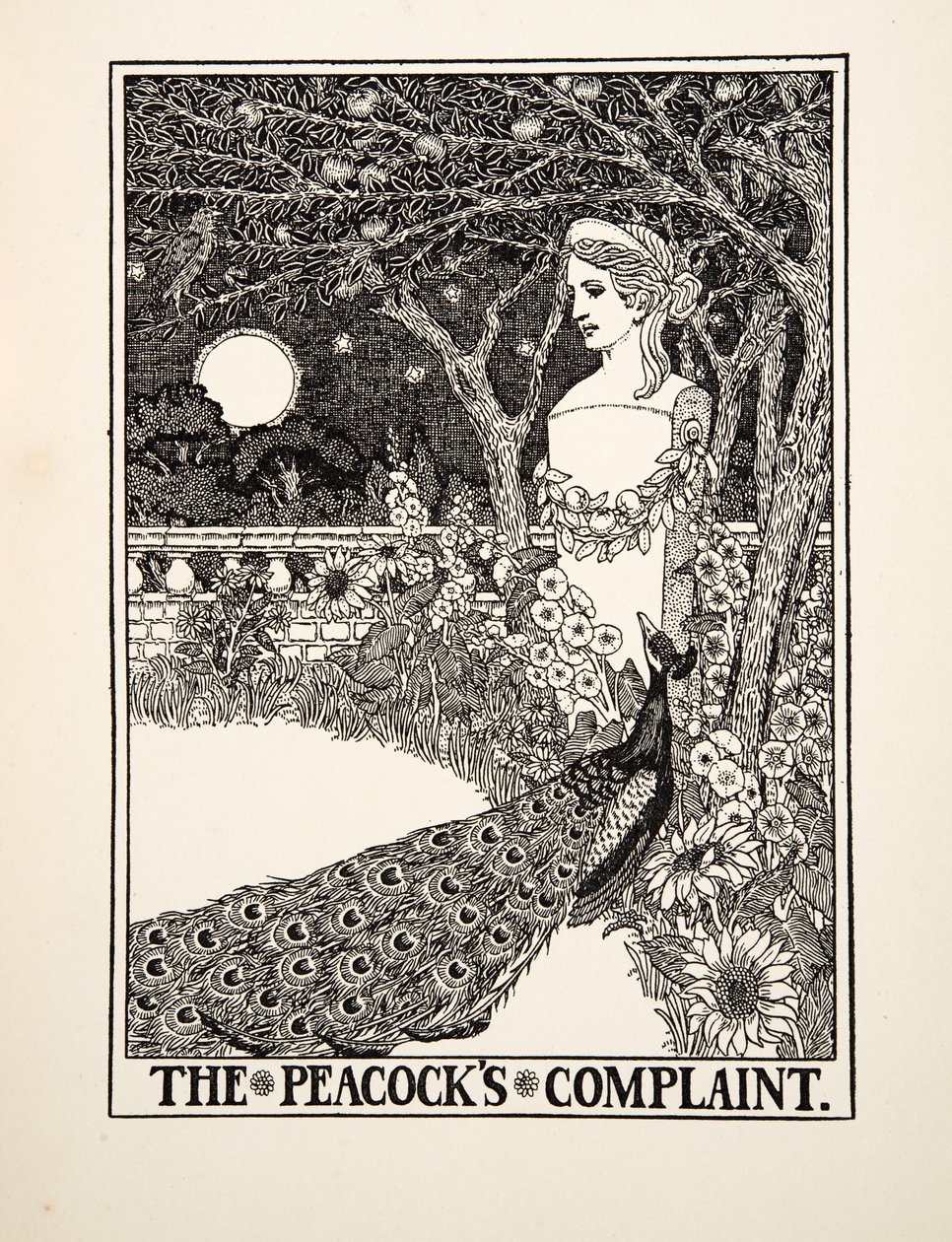 Ezop'un Yüz Masallarından Tavus Kuşu Şikayeti, yayın.1903 by Percy J. Billingshurst