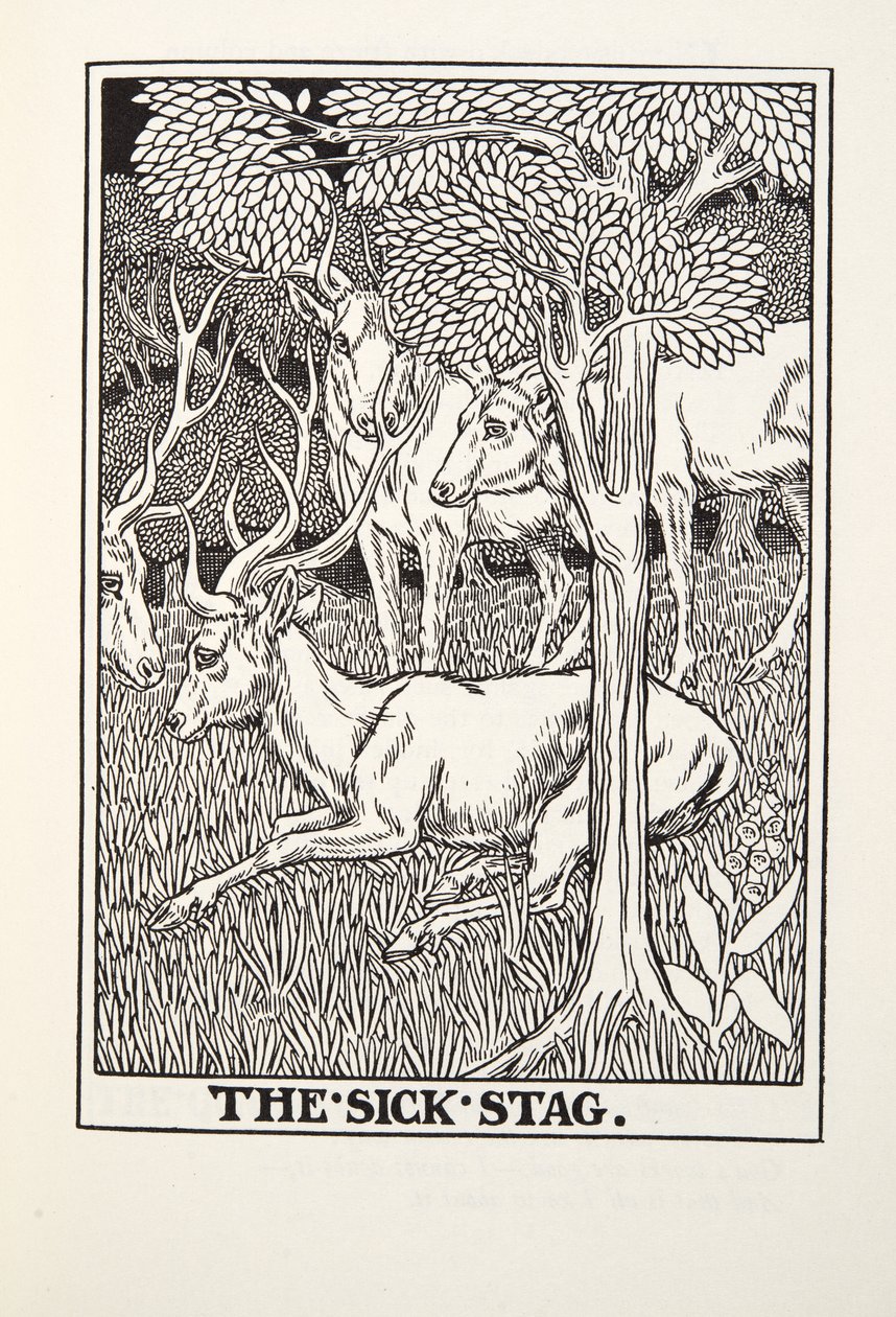 Hasta Geyik, Fontaine Fables, pub